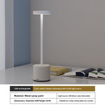 Metal LED Desk Lamp