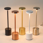 Metal LED Desk Lamp